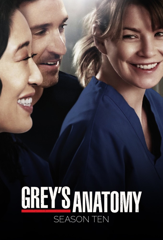 Grey's Anatomy - Season 10 [134425] (A1774146643) [[Shows 2.0]] --Plex--